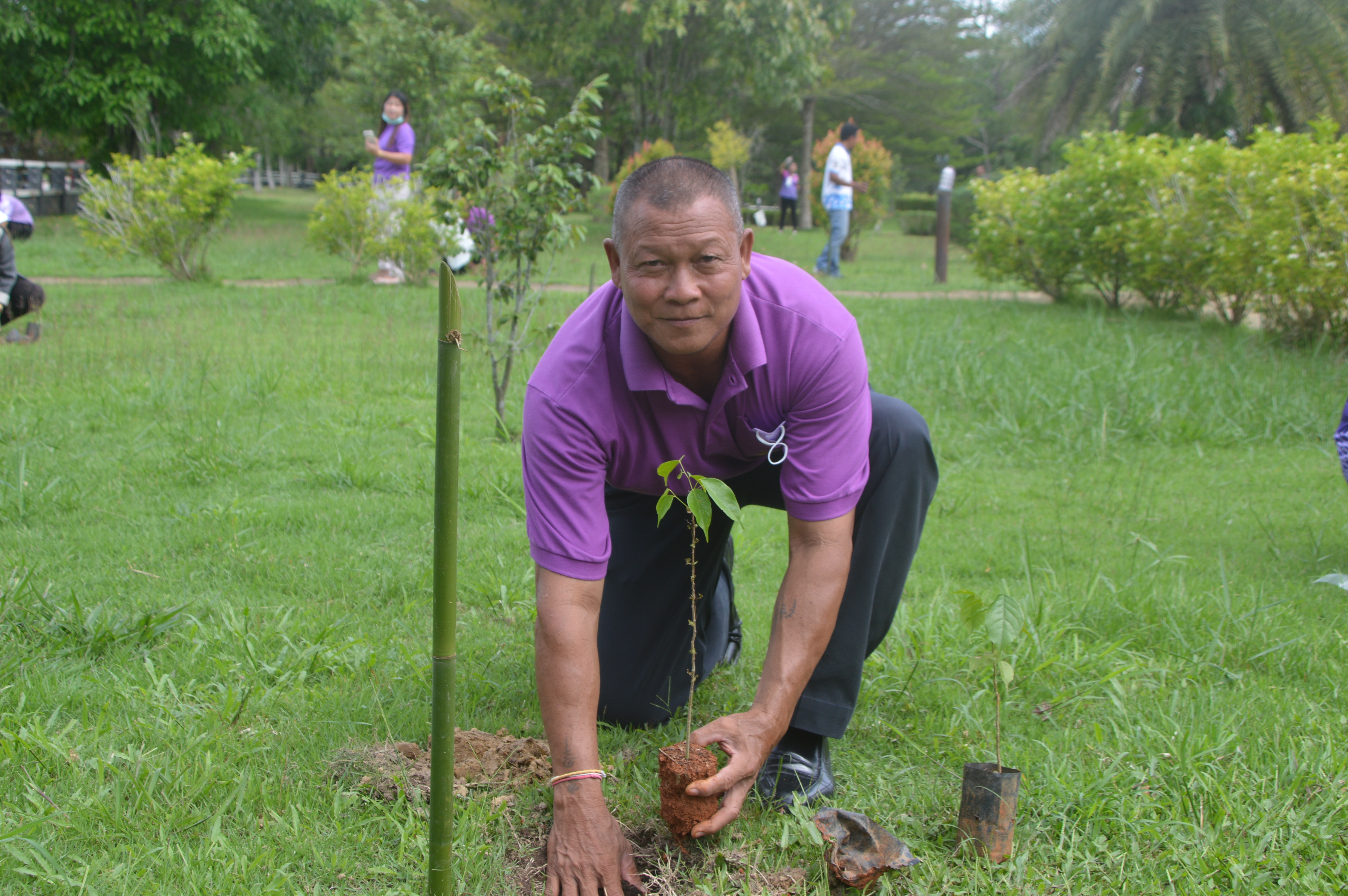 โครงการอนุรักษ์พันธุกรรมพืชอันเนื่องมาจากพระราชดำริ